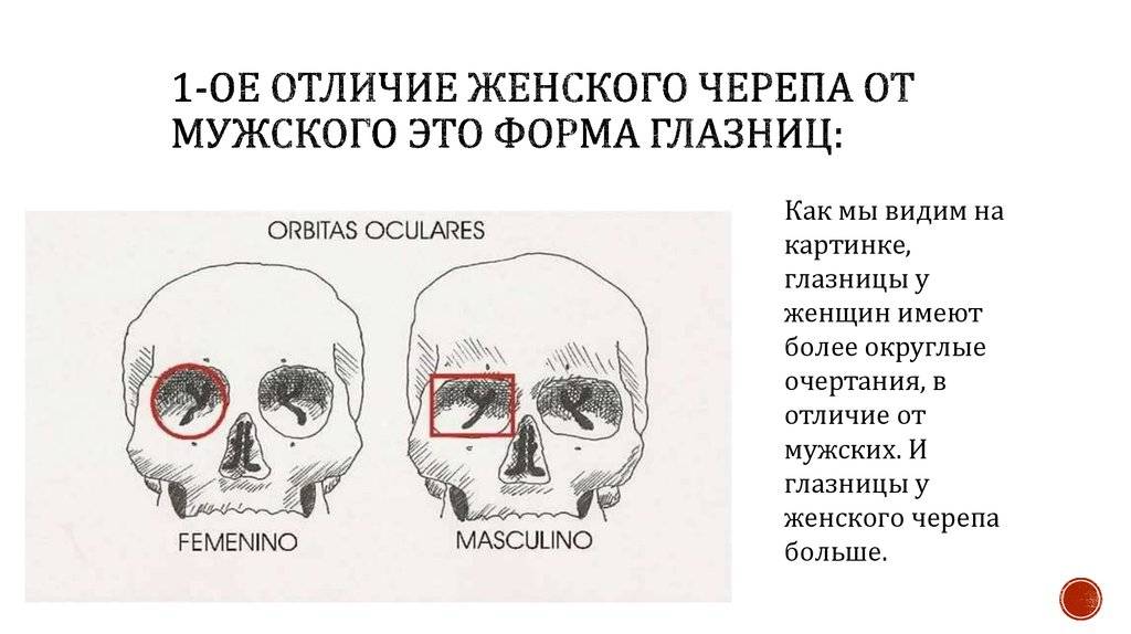 Чем отличается девушка от женщины — основные различия