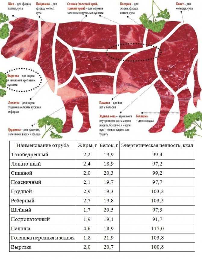 Различия состава говядины и телятины - чем отличаются мясные продукты от молодых и взрослых животных - naidivopros.ru