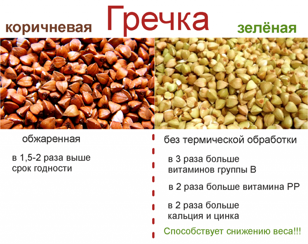 Зеленая гречка - польза и вред, как приготовить, свойства для похудения