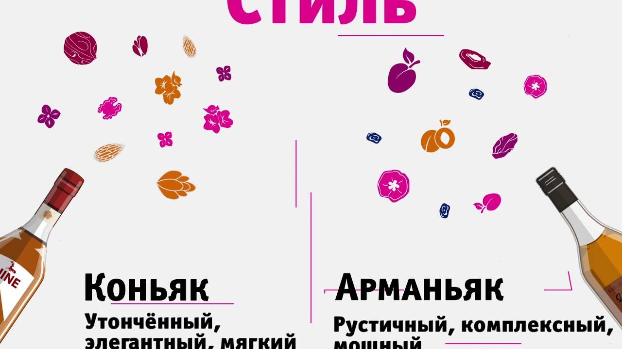 Чем отличается арманьяк от коньяка: производство, дистилляция, выдержка