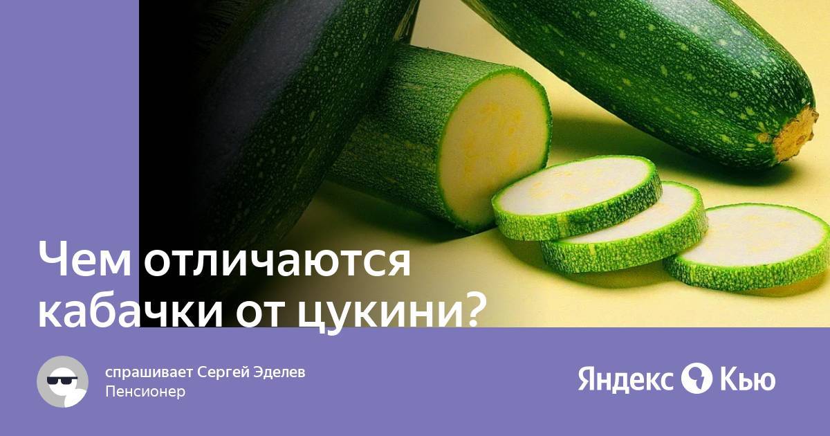 Цукини и кабачки: чем отличаются, в чем разница и как сажать
