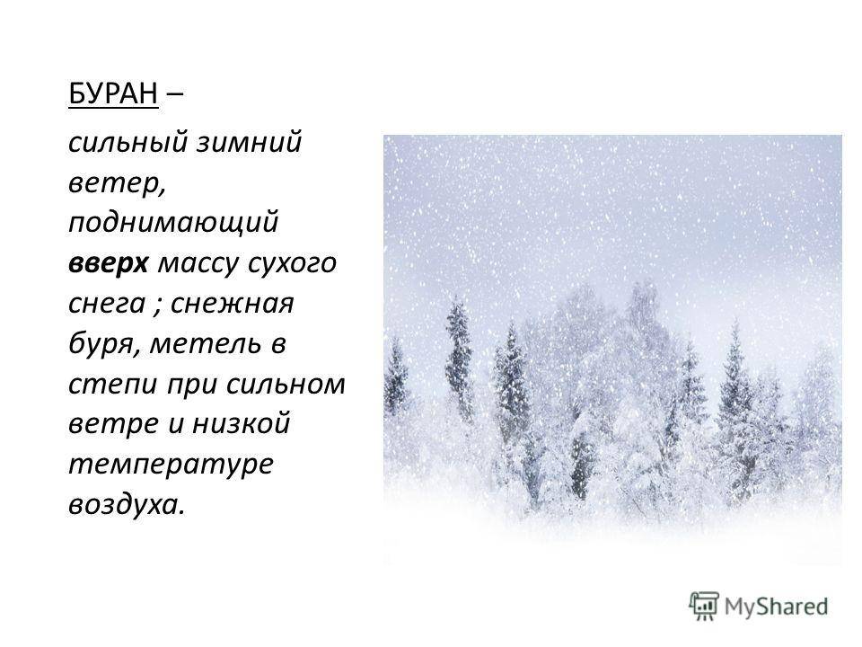 В чем различие этих понятий? метель, вьюга, пурга, буран, снежная буря. в чём различие этих понятий