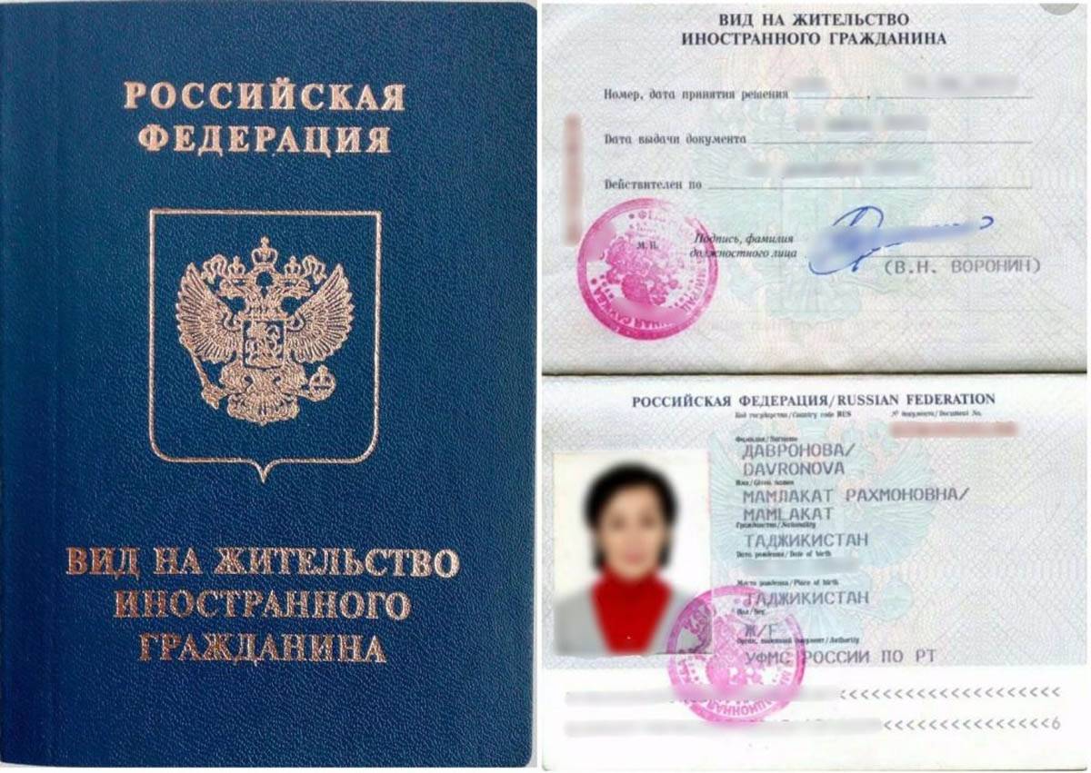 Чем отличается рвп от вида на жительство в 2019 году