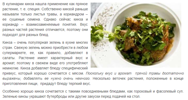 Чем заменить кинзу — 13 способов