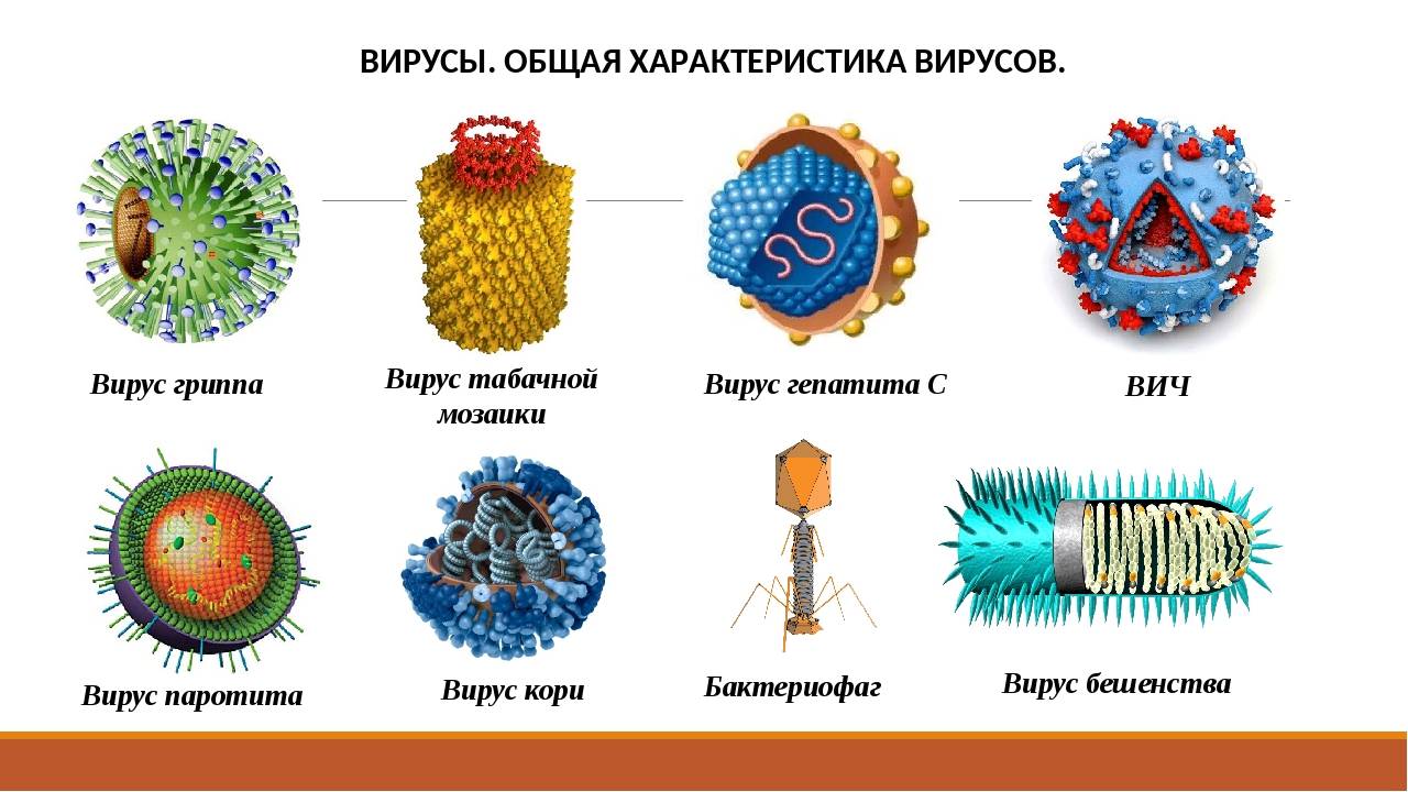 Вирусные респираторные заболевания: грипп, коронавирус, аденовирус. защита и профилактика у взрослых и детей