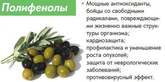 Маслины и оливки, в чем разница