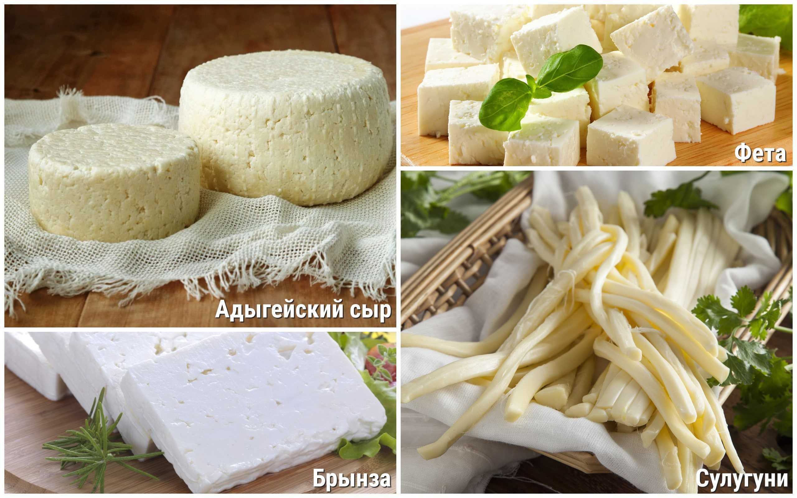 Сыр и брынза —  чем отличаются эти продукты? | в чем разница