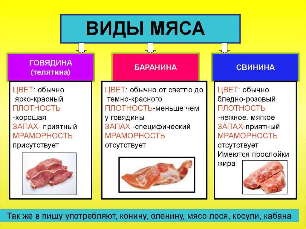 Как отличить говядину от свинины: разница между видами мяса, способы определения