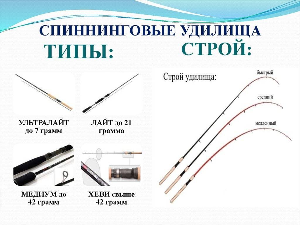 Отличия спиннинговых и фидерных катушек: что нужно знать