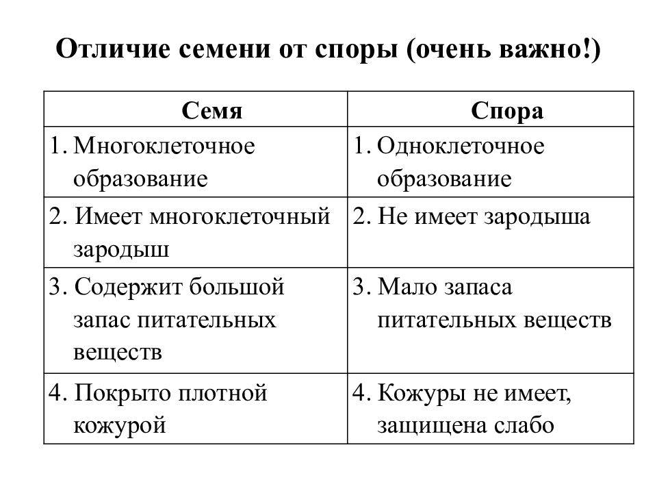Урок 5: размножение растений - 100urokov.ru