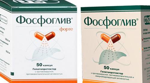 Можно ли пить фосфоглив вместе с эссенциале. фосфоглив или эссенциале – что лучше? чем отличается фосфоглив от эссенциале