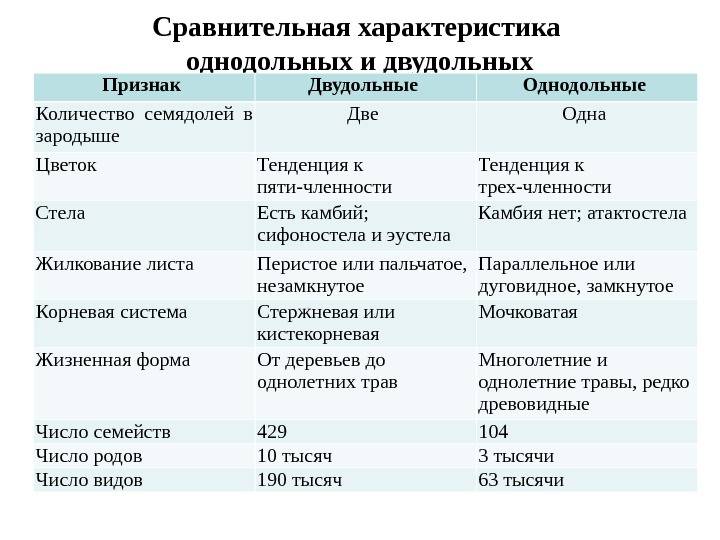 Чем различаются однодольные и двудольные. чем отличаются однодольные растения от двудольных растений