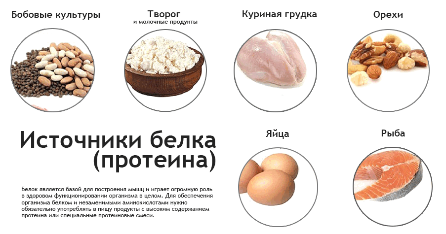 Чем отличаются между собой протеин, белок и аминокислоты
