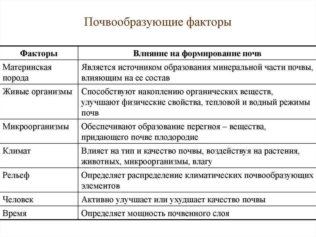 Краткий курс лекций