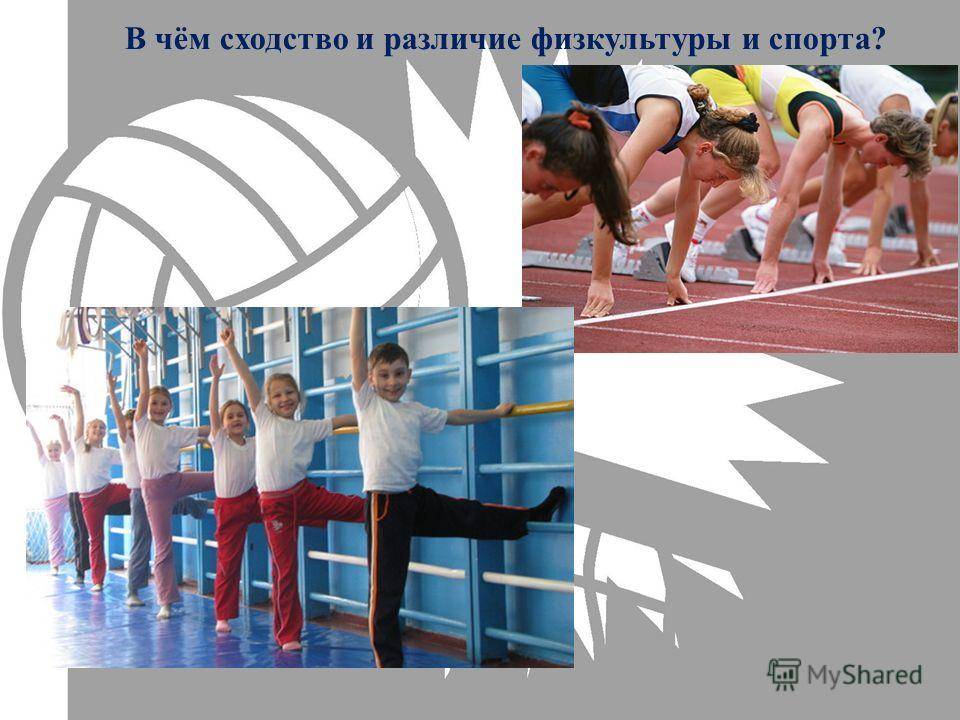 Физическая культура - основы, виды, спорт