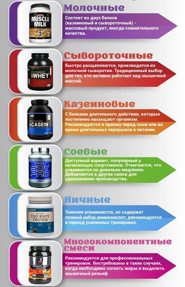Чем протеин отличается от аминокислот: особенности и отличия
