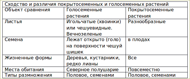 Для покрытосеменных в отличие от голосеменных характерно наличие размножение семенами - у дачки