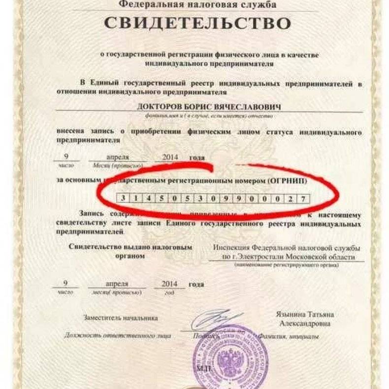 ОГРН и ОГРНИП: в чем разница между государственными номерами