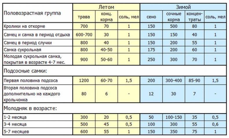 Корм для кроликов: отличия зимнего и летнего рационов, сочные и сухие корма, витамины