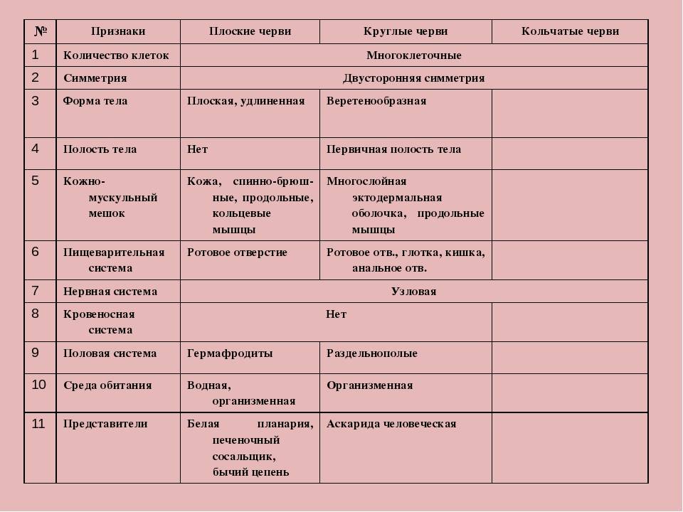 Чем отличаются плоские черви от круглых червей? | prof-medstail.ru