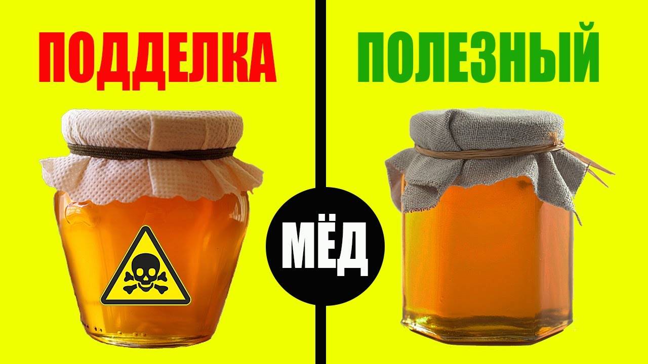 Как определить настоящий мед - pchela-info.ru