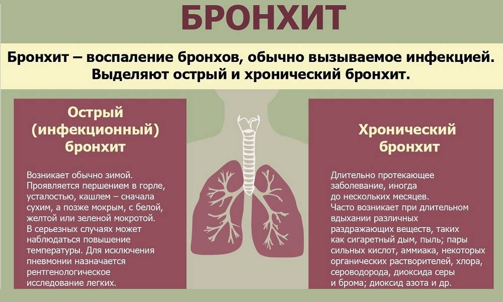 Может ли бронхит перейти в пневмонию?
