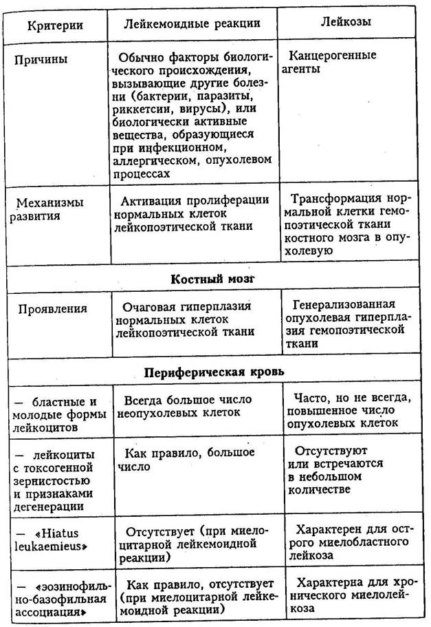 Лейкоз: симптомы и отличие от лейкемии