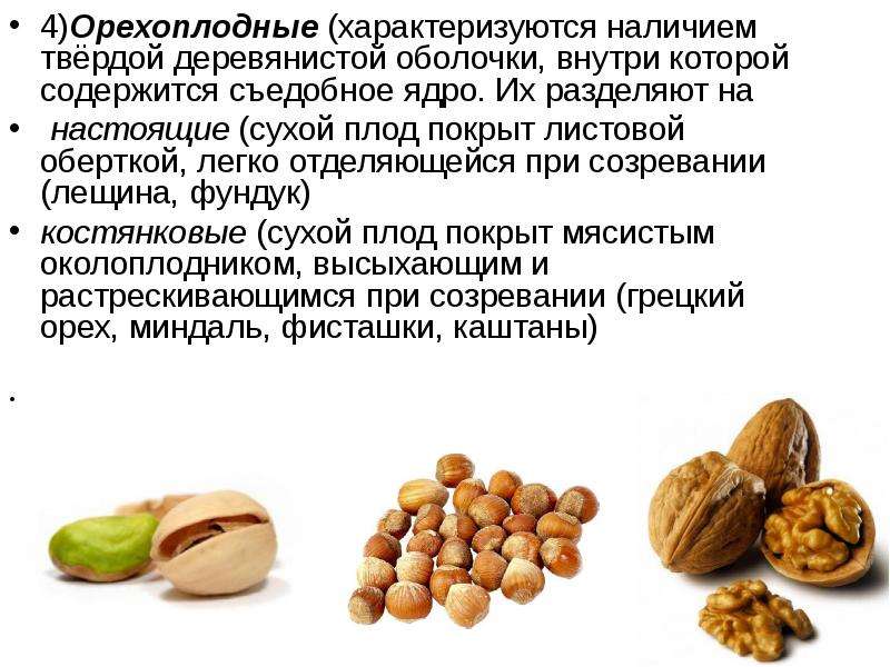 Фундук (орехи) — польза и вред для организма, свойства и противопоказания