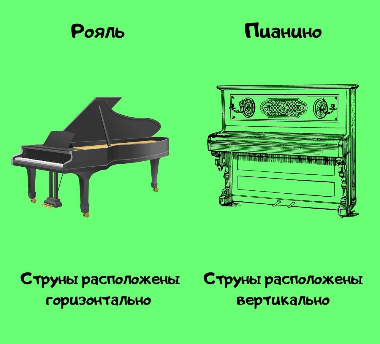 Чем отличается синтезатор от цифрового пианино и как называется электронное: в чем разница и как выбрать для начинающих