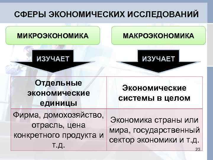 Предметные области исследования микроэкономики и макроэкономики: различия и особенности