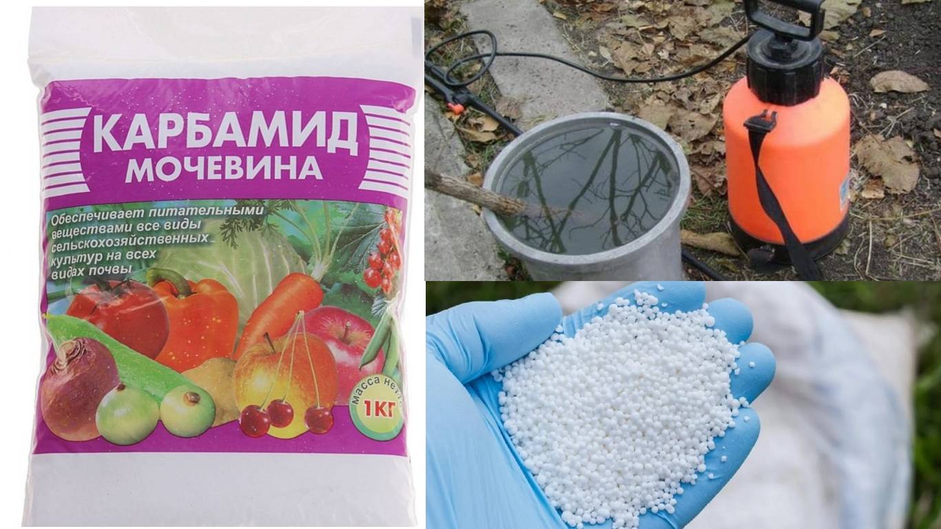 Аммиачная селитра