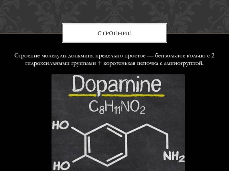 Не жмите на педальку или величайший дофаминовый обман мозга