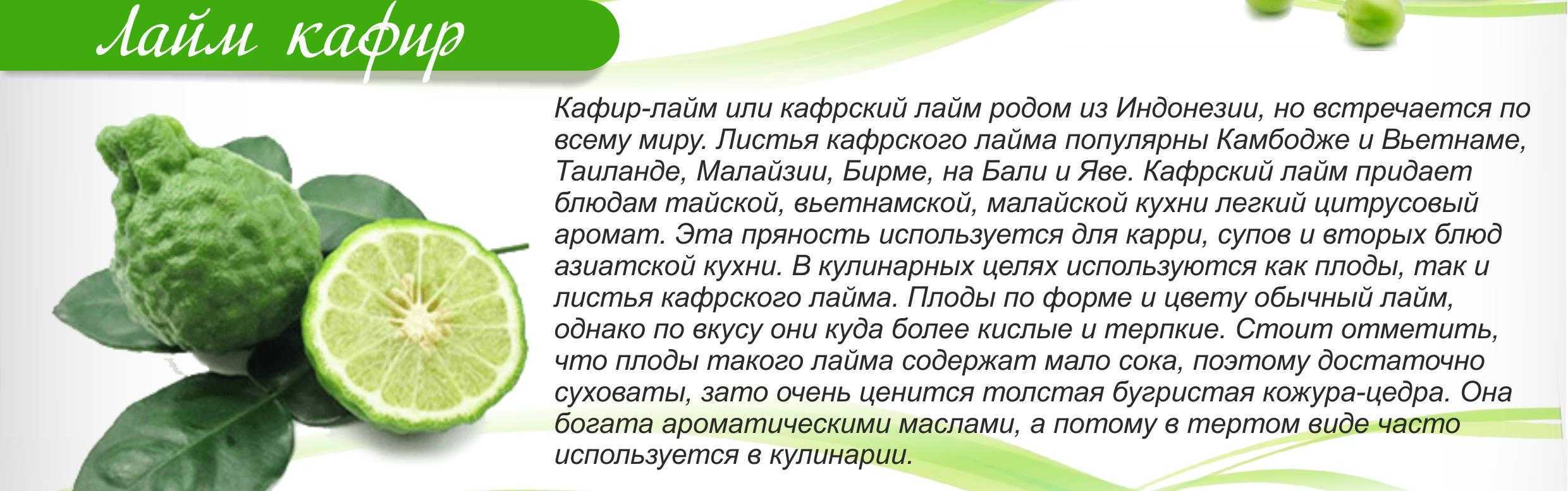 Лайм фрукт - чем отличается от лимона, как растет, как есть, полезные свойства