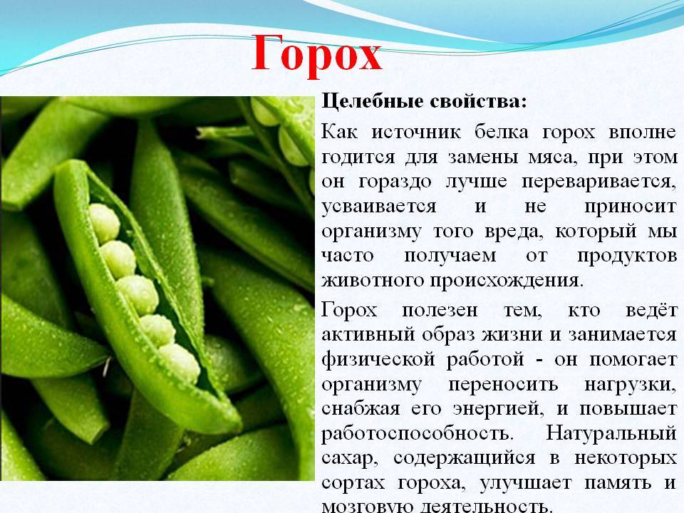 Горох желтый и зеленый - чем отличаются+