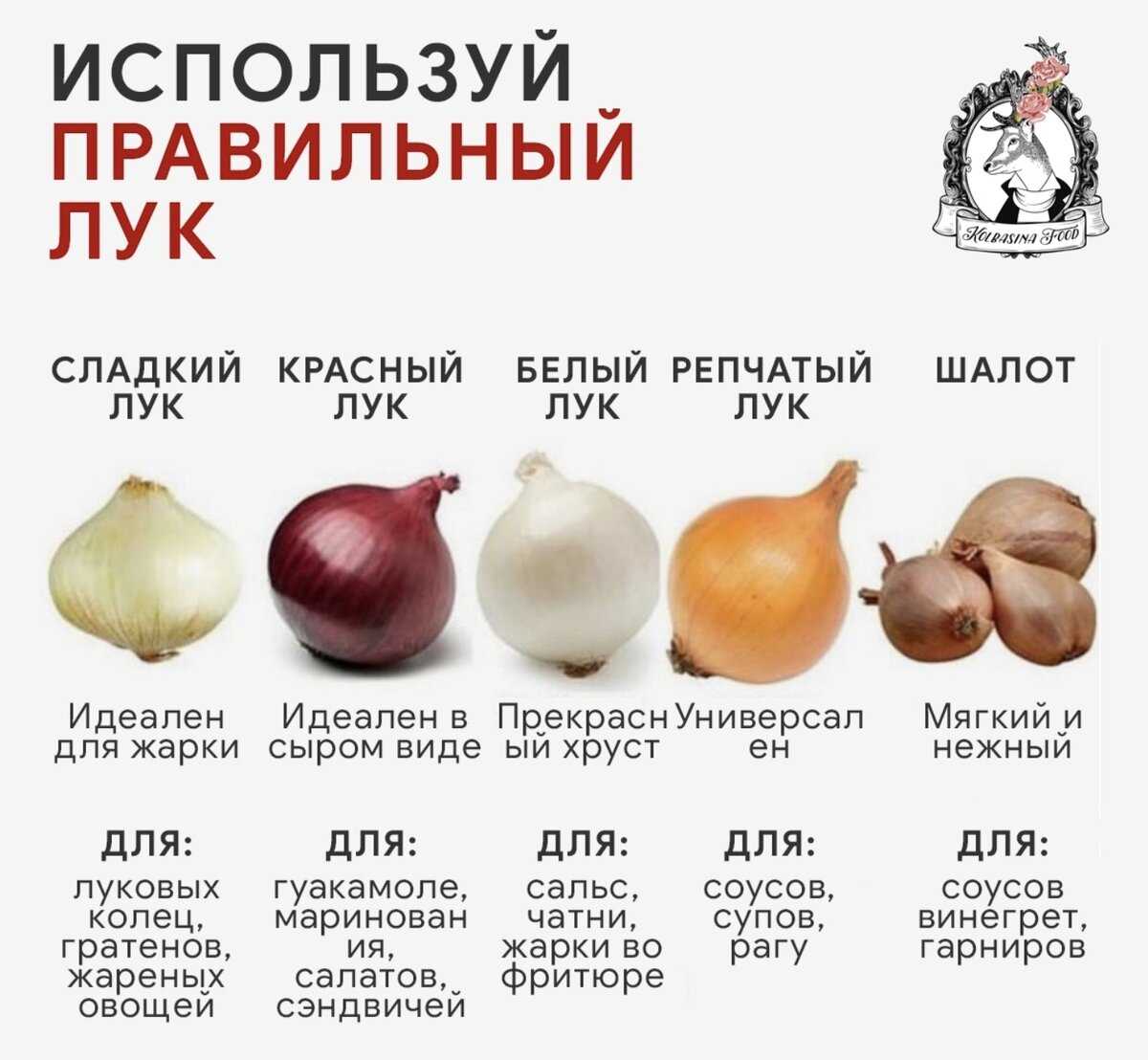 Чем обычный репчатый лук отличается от красного, какой полезнее и слаще