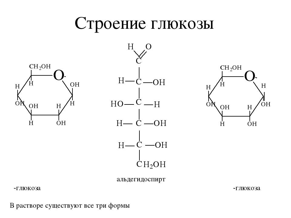 Как определить глюкозу и сахарозу химическим методом: легко и понятно