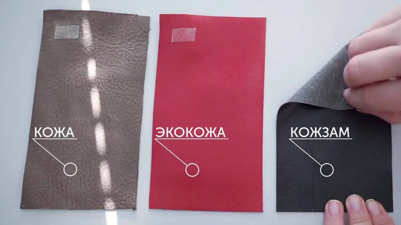 Что лучше экокожа или искусственная кожа (кожзам) сравнение материалов