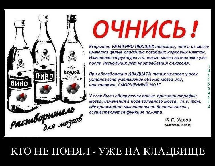 Разница между виски и водкой - побухаем