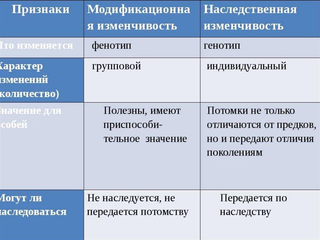 Отличие фенотипа от генотипа: простое объяснение