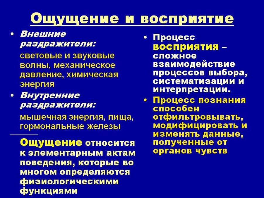 Разница между ощущением и восприятием с примерами