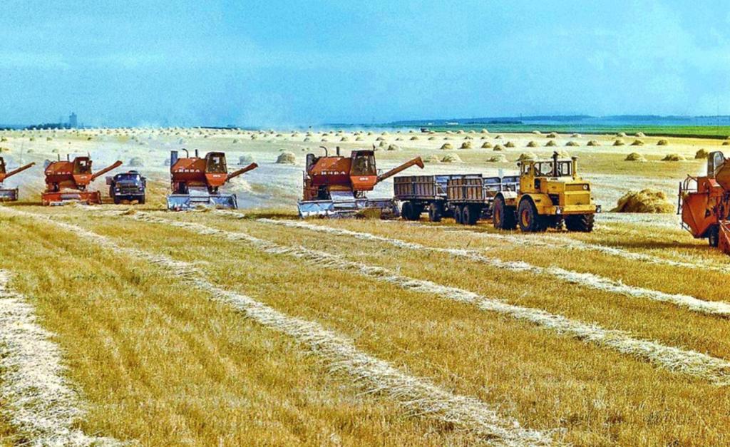 В чём отличие колхоза от совхоза? разница между совхозом и колхозом