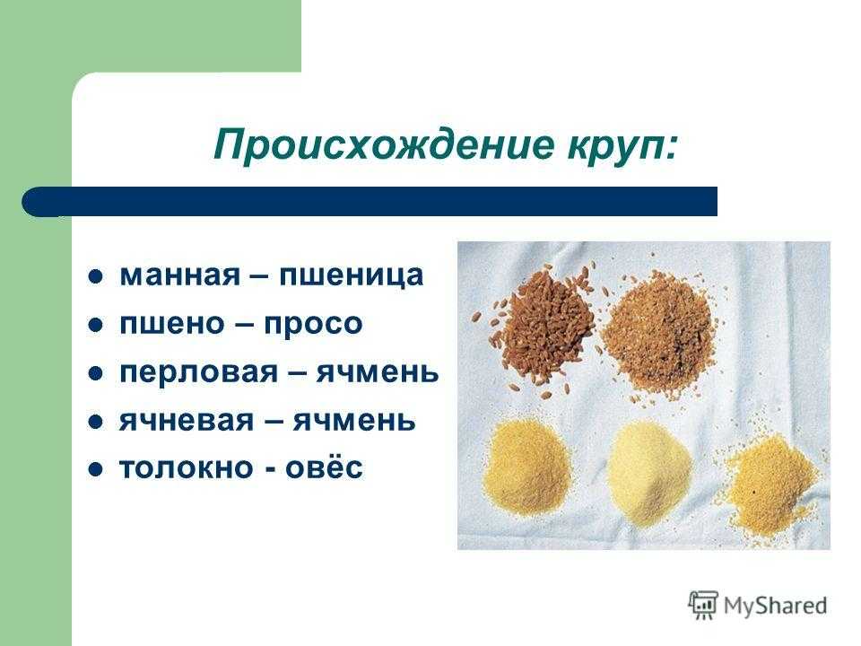 Пшеничная крупа и пшено: в чем разница между пшенной кашей и пшеницей
