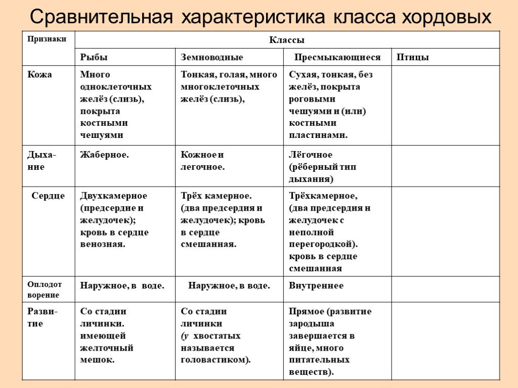 Что отличает земноводных от пресмыкающихся: сравнительный анализ