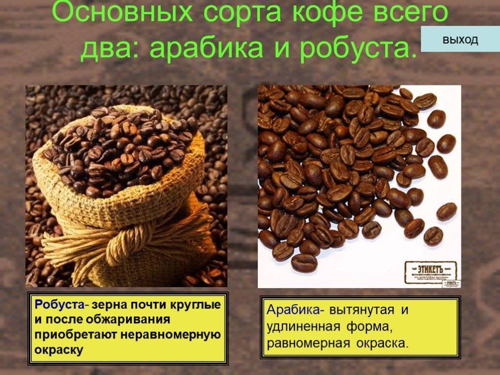 Разница между арабикой и робустой: 14 отличий основных сортов кофе