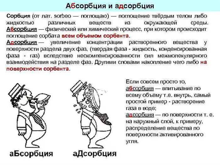 Адсорбция – характеристики в химии, условия и диффузия