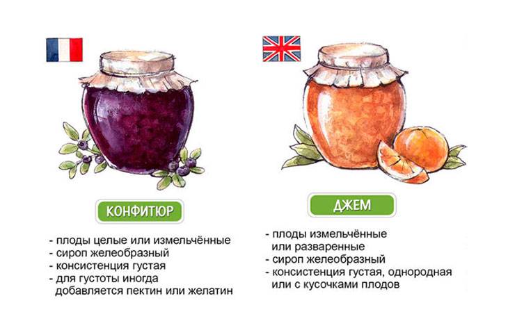 Разница между джемом и мармеладом - разница между - 2024