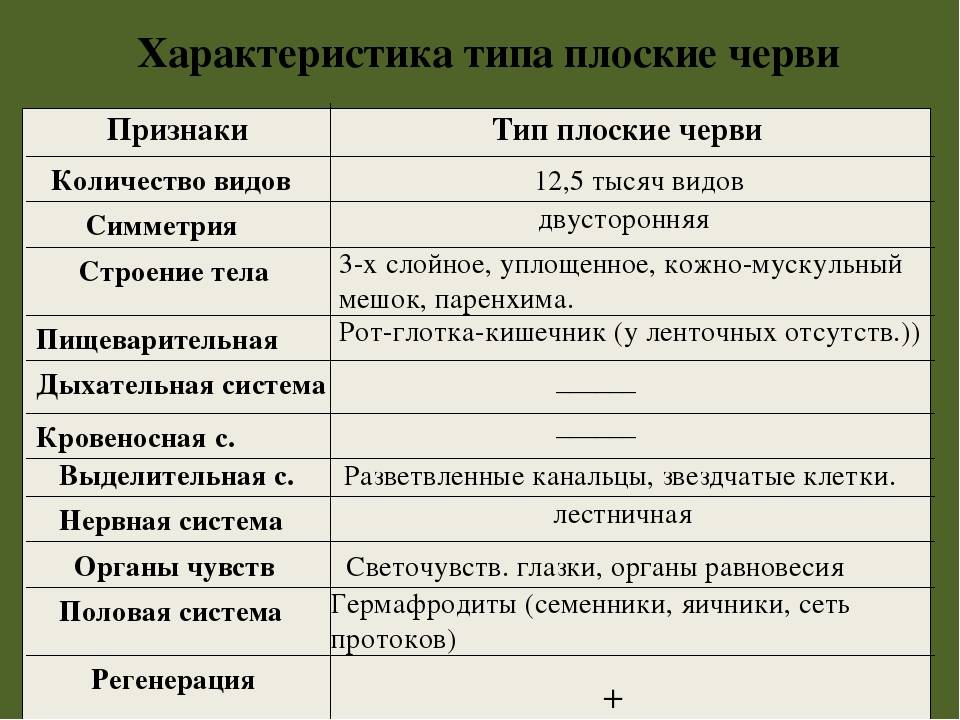 Биология