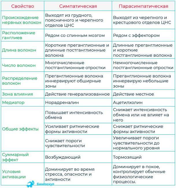 Что лучше: ксефокам или мовалис в уколах