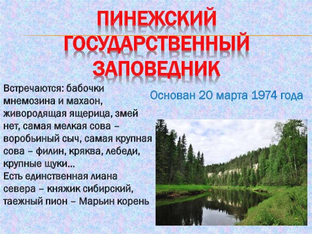 Разница между заповедником и национальным парком (с таблицей сравнения)