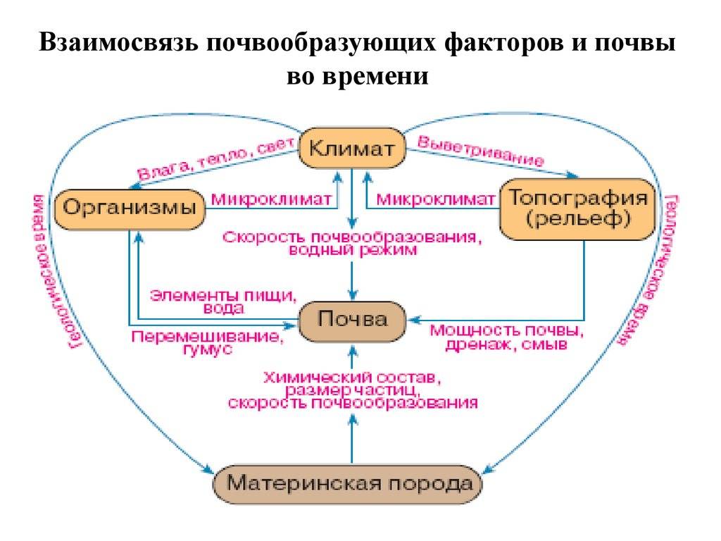 Краткий курс лекций